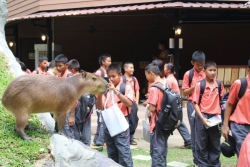 20260826154650(1).jpg - โครงการเปิดโลกกว้างแห่งการเรียนรู้ กิจกรรมที่ 3  Math - Science  | https://cmiss.ac.th